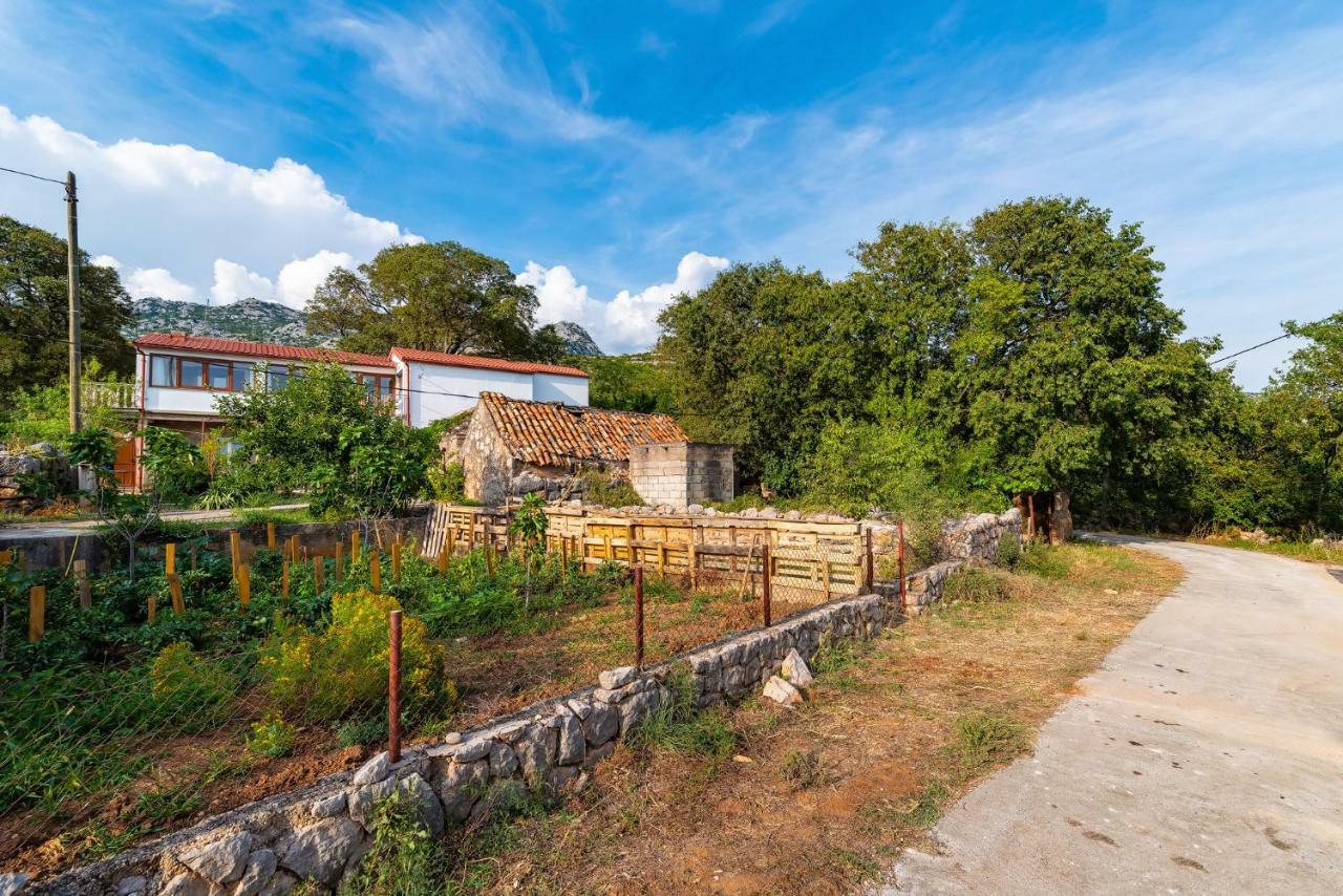 Apartment Adam Starigrad Paklenica Zewnętrze zdjęcie